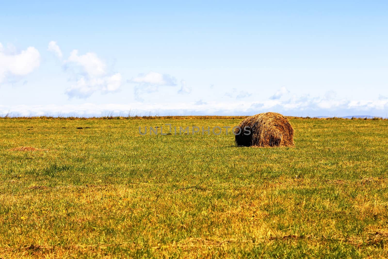 Straw roll bale on the field of farmland