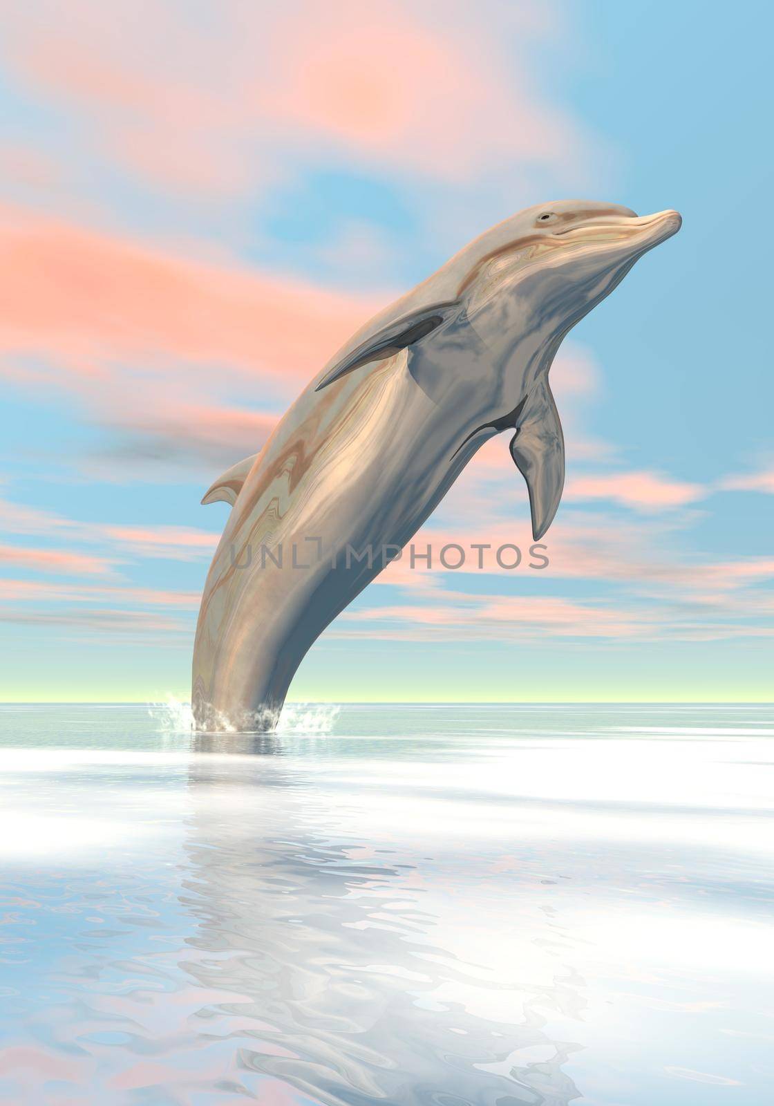 One dolphin jumping upon the ocean by sunset light