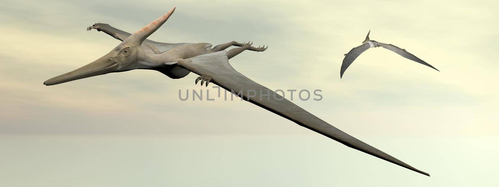 Pteranodon dinosaurs flying - 3D render by Elenaphotos21