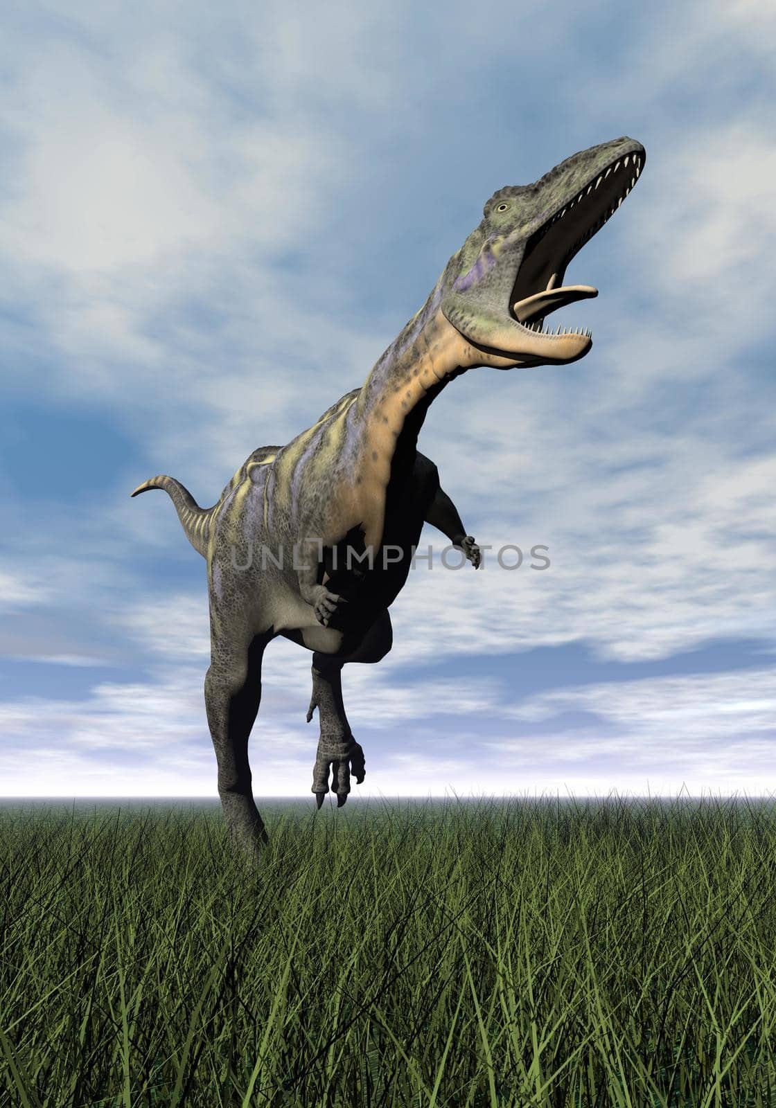 Aucasaurus dinosaur running on the green grass with mouth open by cloudy day