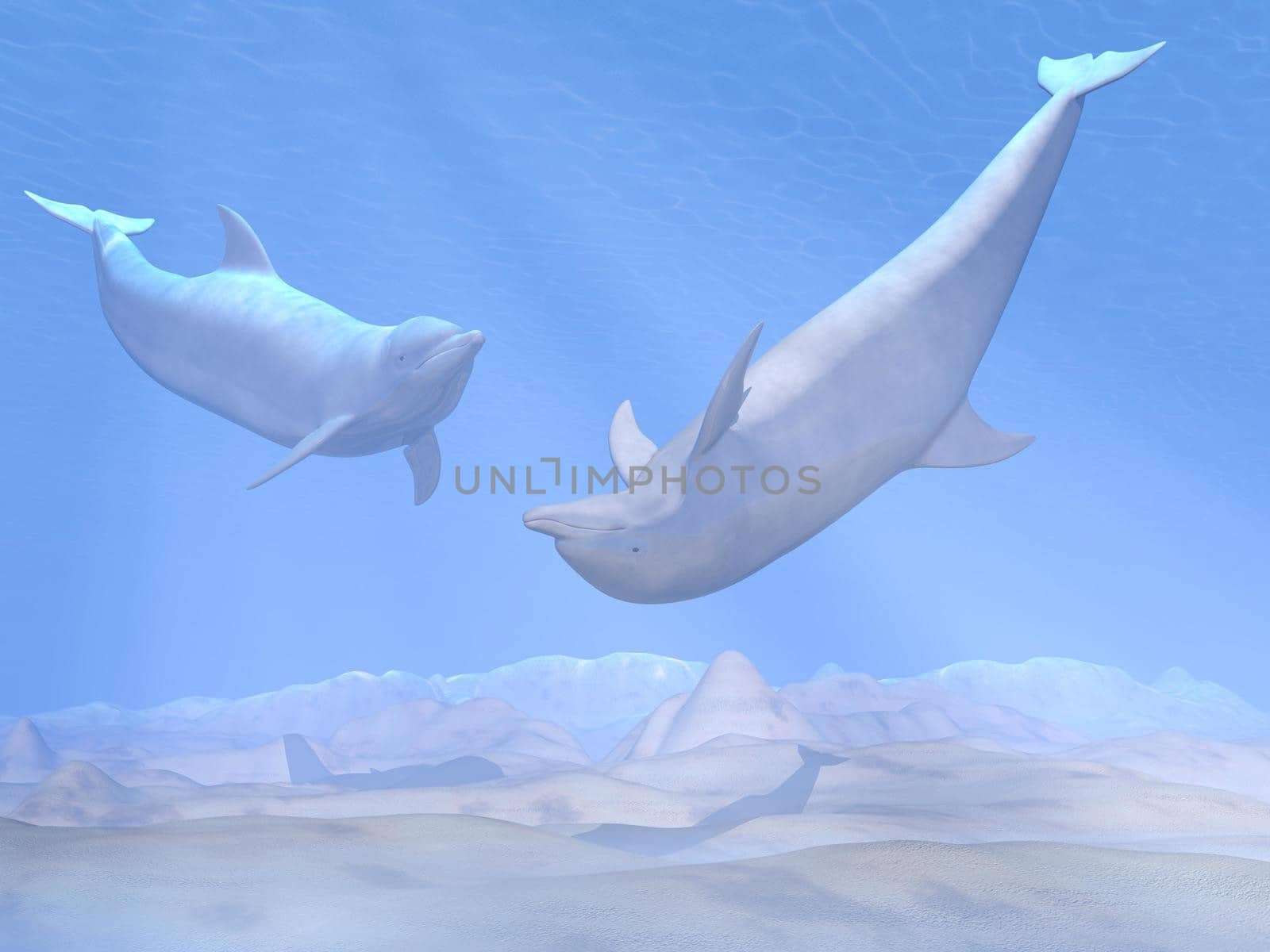 Two beautiful dolphins having fun underwater with ray lights
