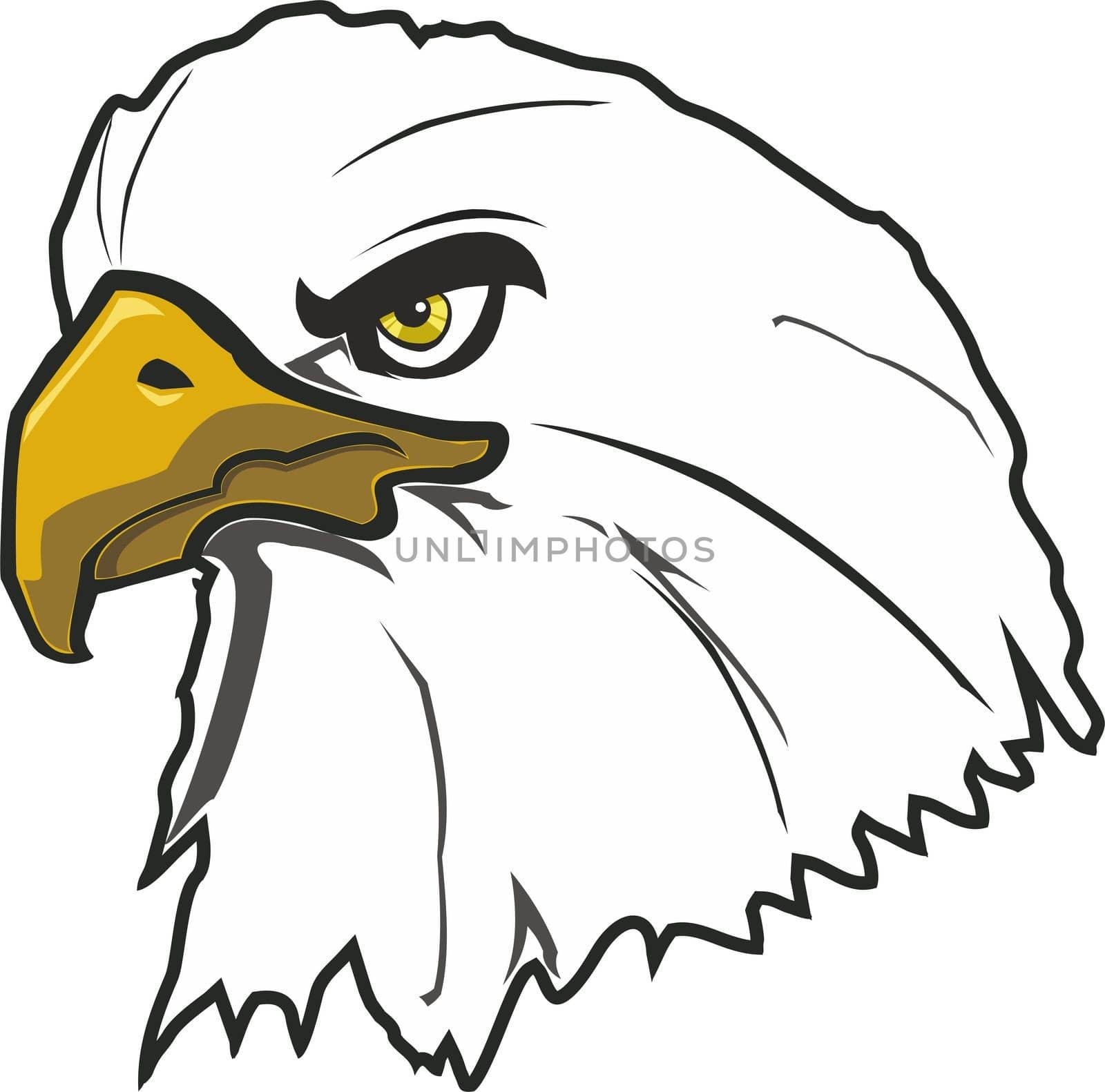 A large bird of prey eagle