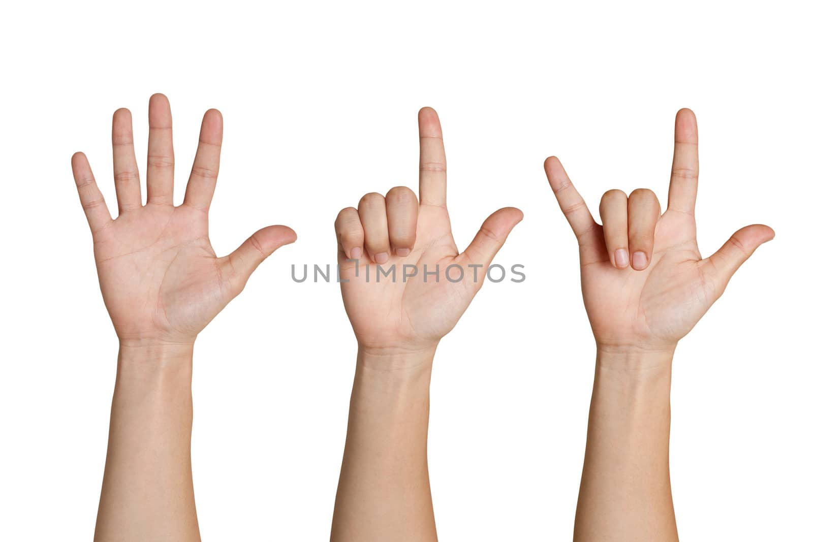 Female hands isolated on white background