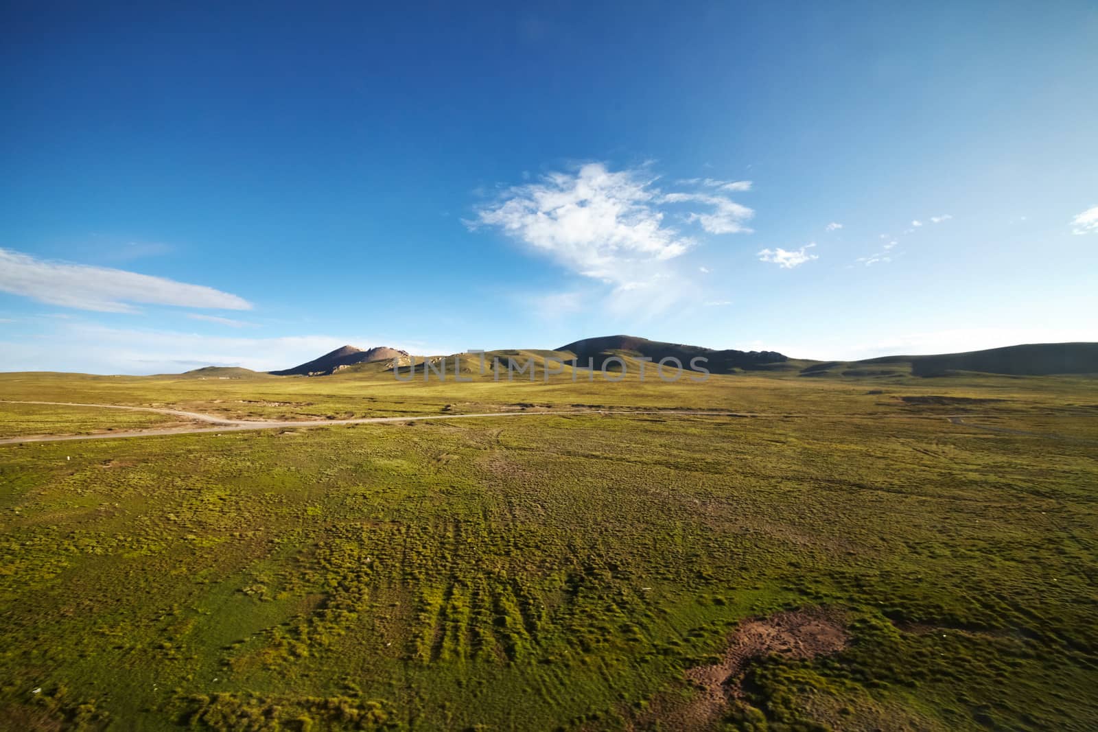 A green plains with mountain landscape in the background against a blue sky at Tibetan Plateau