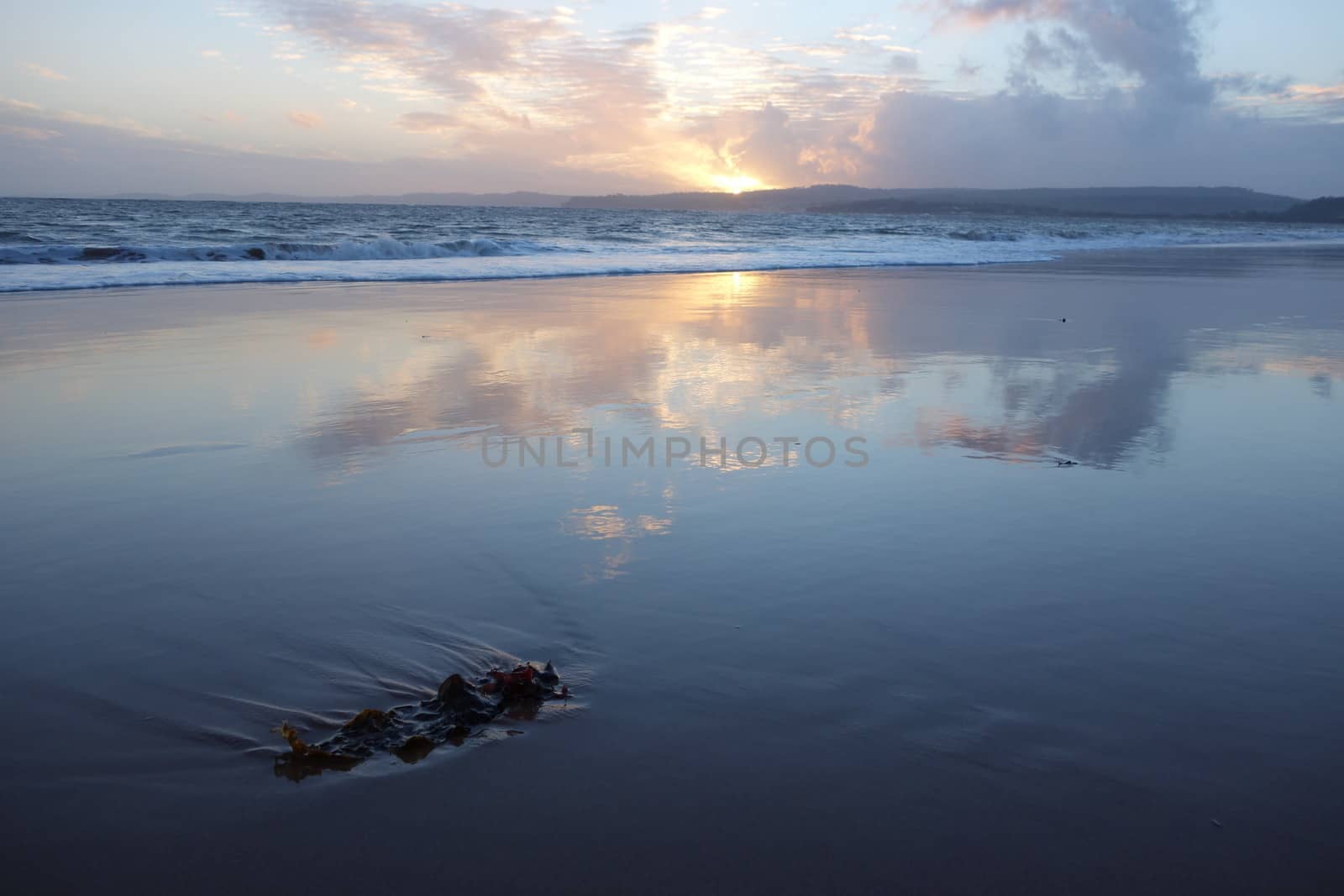 Sunset and reflection from Exmouth beach, Devon, with seaweed in foreground