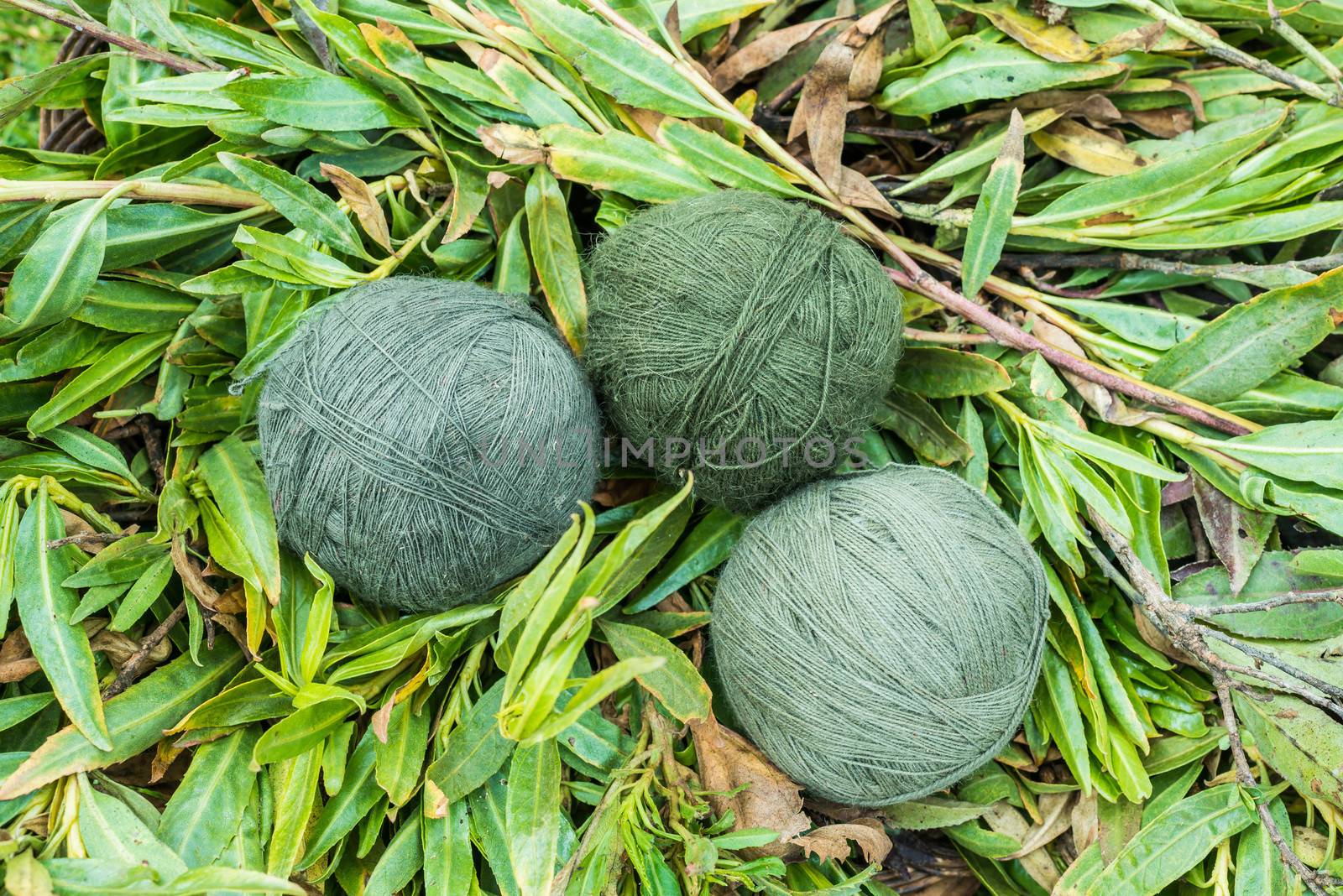 natural dyed wool yarn in the peruvian Andes at Cuzco Peru