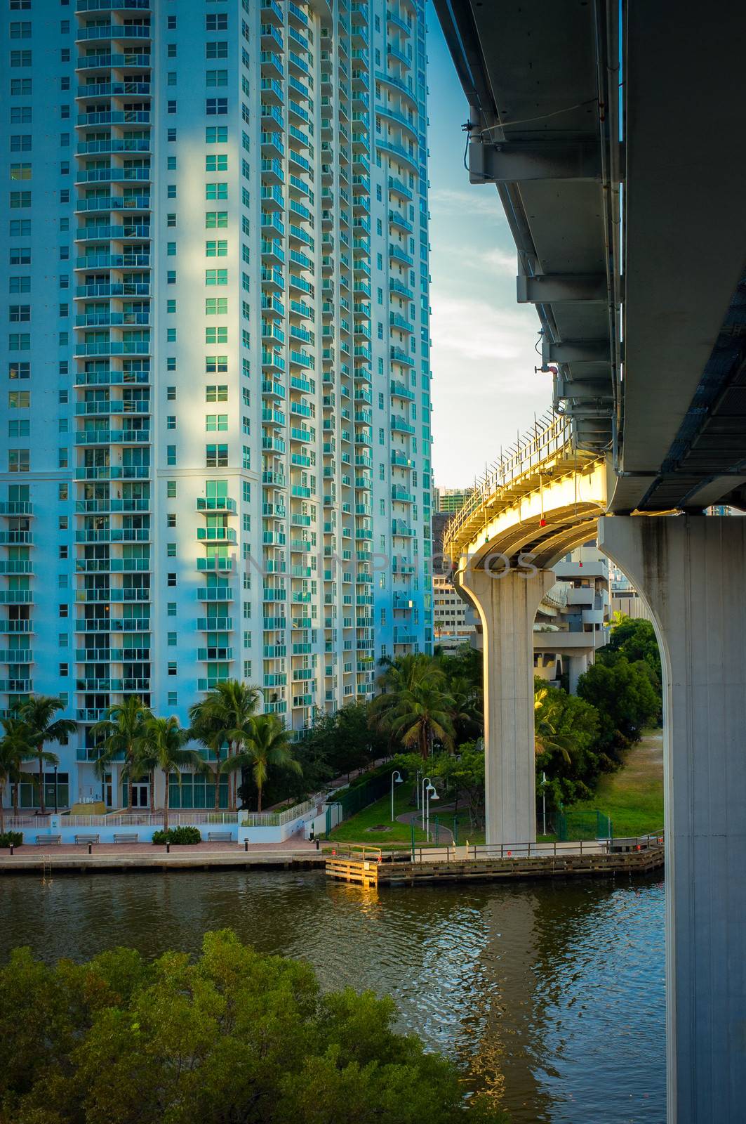 Buildings in a city, Downtown Miami, Miami, Florida, USA