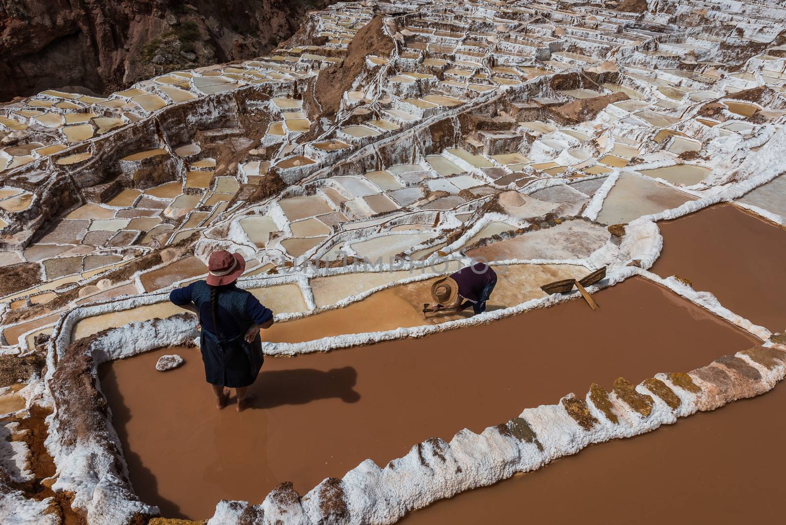 women  Maras salt mines peruvian Andes  Cuzco Peru by PIXSTILL