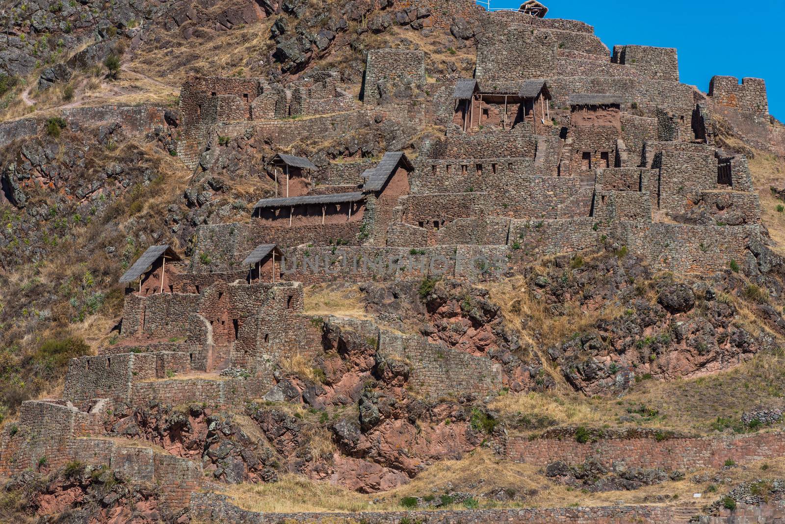 Pisac ruins peruvian Andes  Cuzco Peru by PIXSTILL