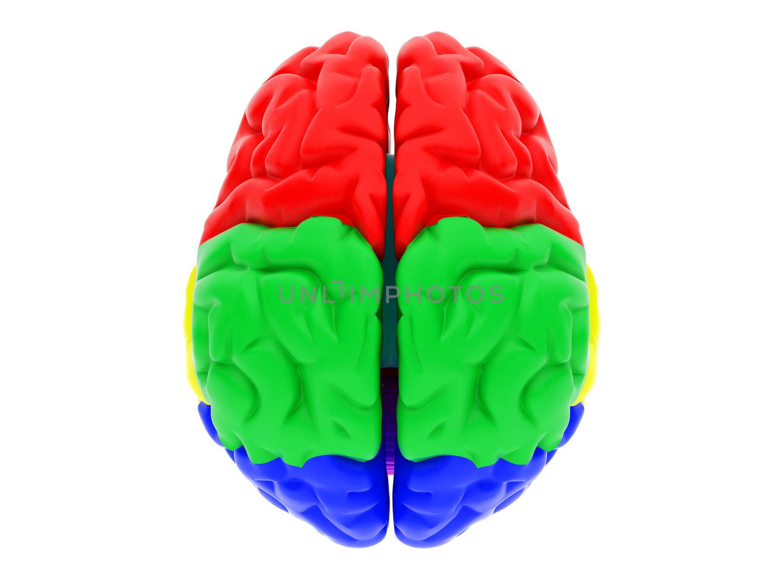 High resolution image. 3d rendered illustration. 3d human brain.