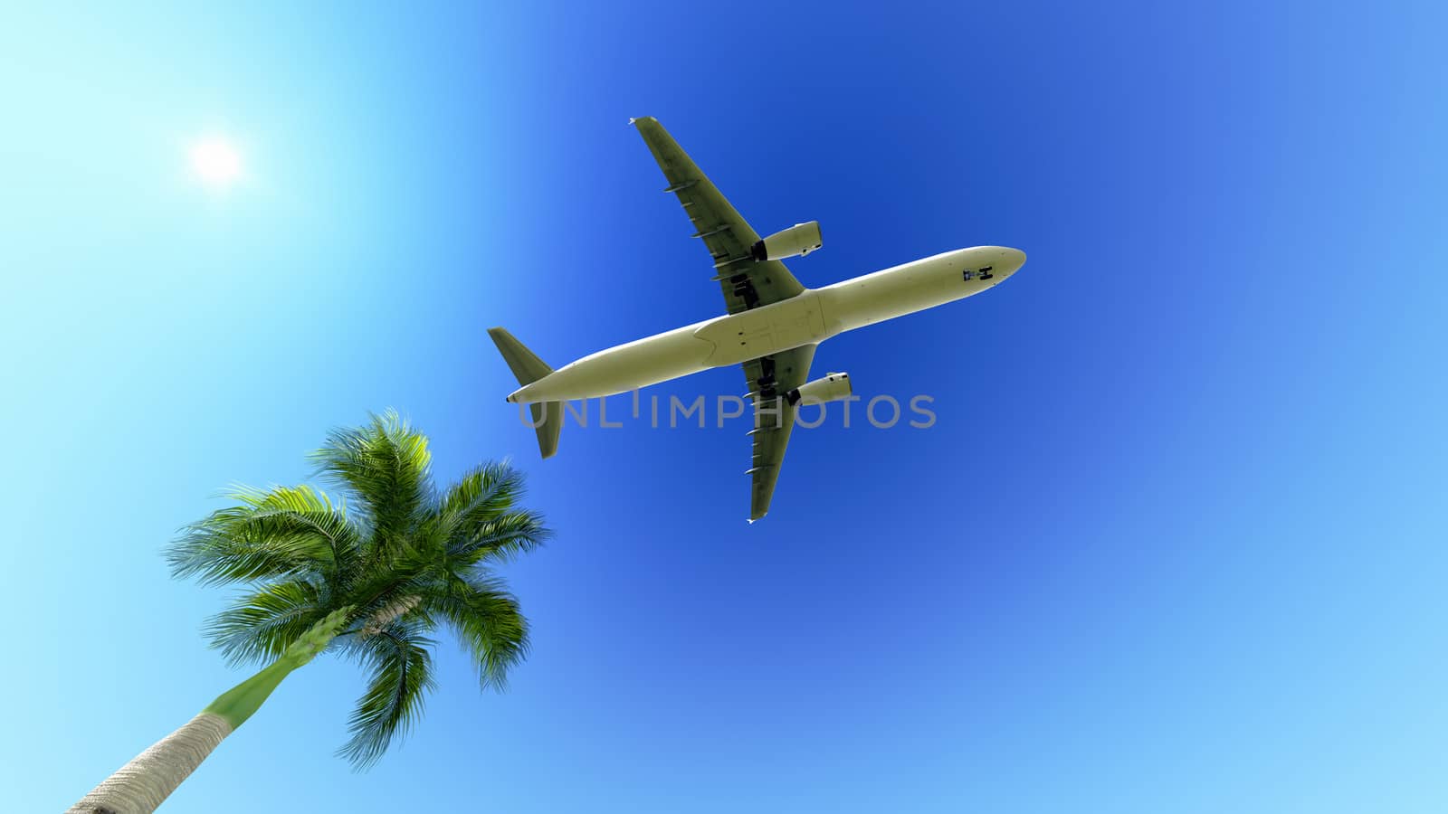 White passenger plane in the blue sky flying over the palm tree