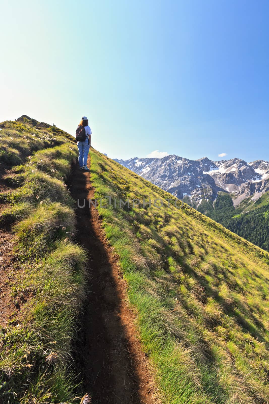 woman plays trekking on alpine ridge, on background San Nicolo' valley, Trentino, Italy
