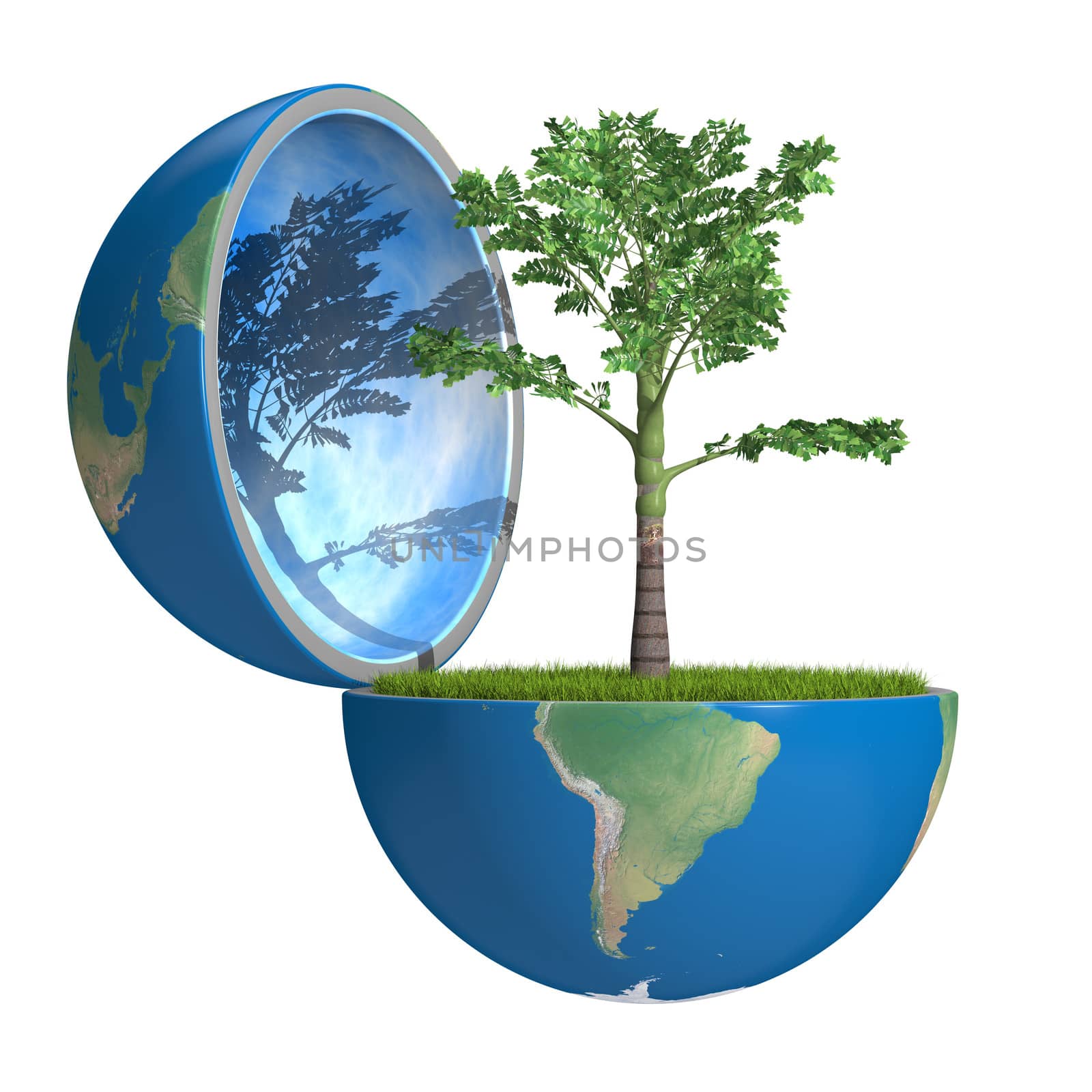 Palm tree growing inside opened planet Earth, isolated on white background, concept of ecology. Elements of this image furnished by NASA