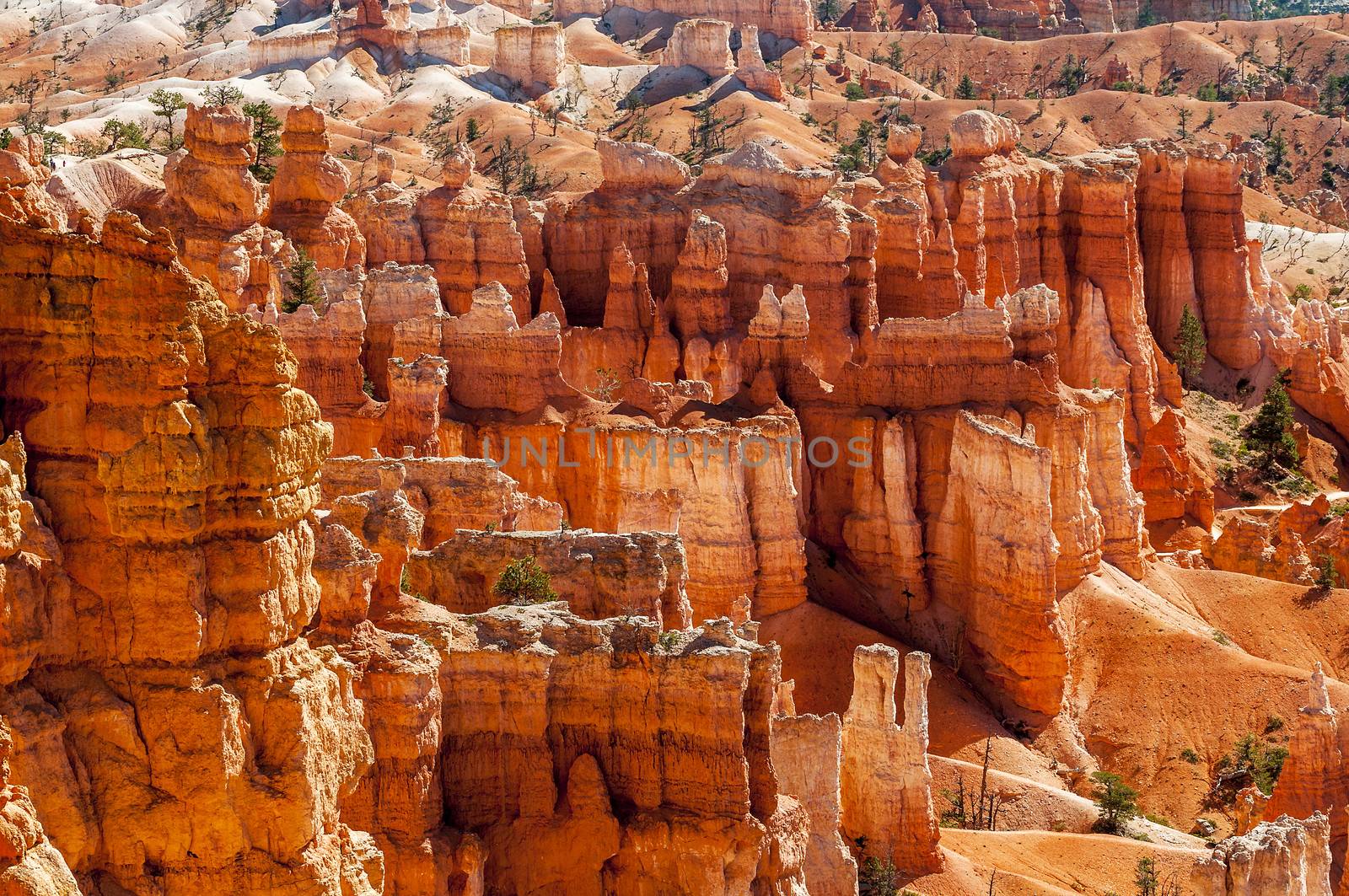 spectacular Hoodoo rock spires of Bryce Canyon, Utah, USA