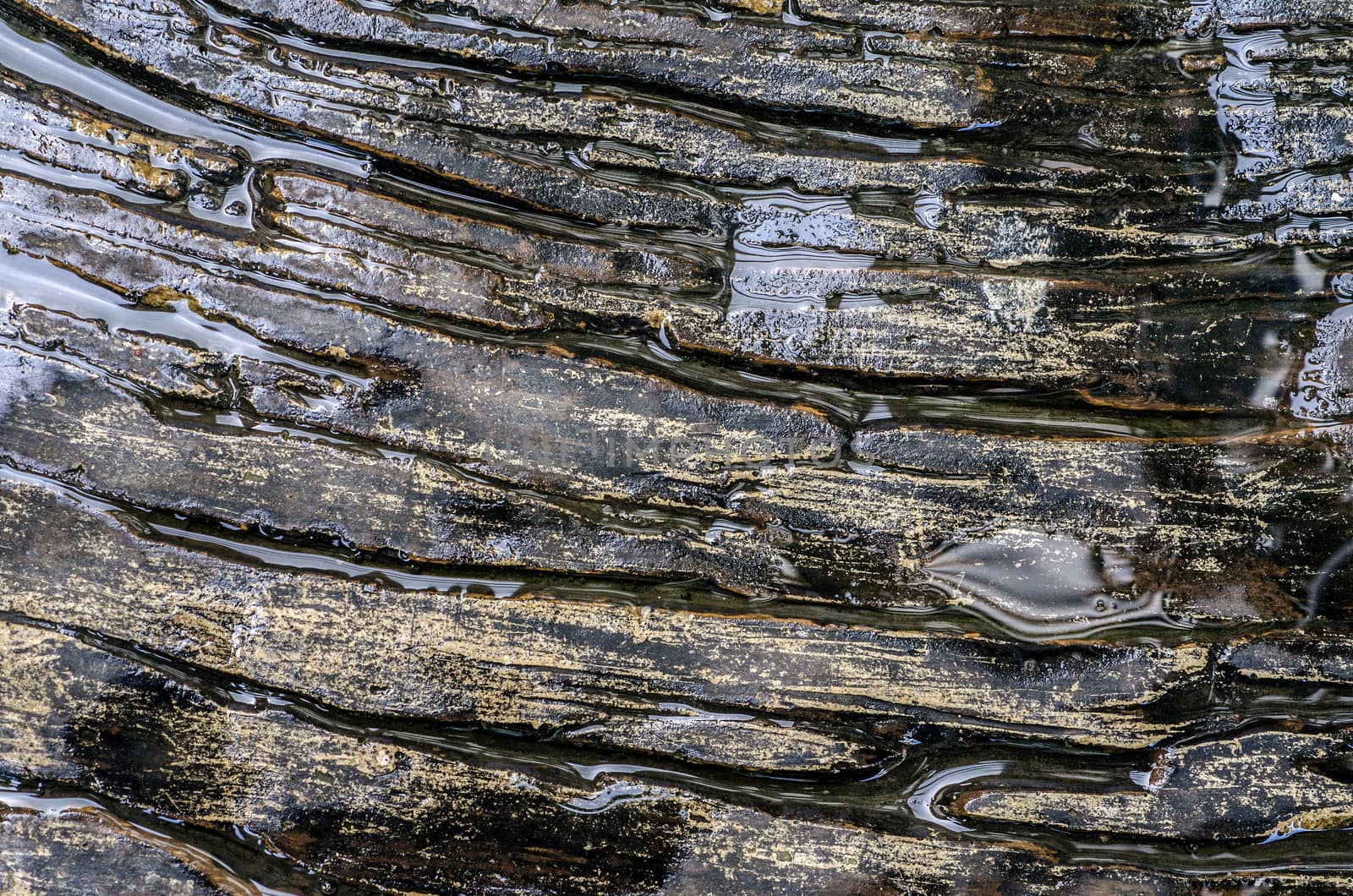 Background texture, wet Blank Slate by 9george