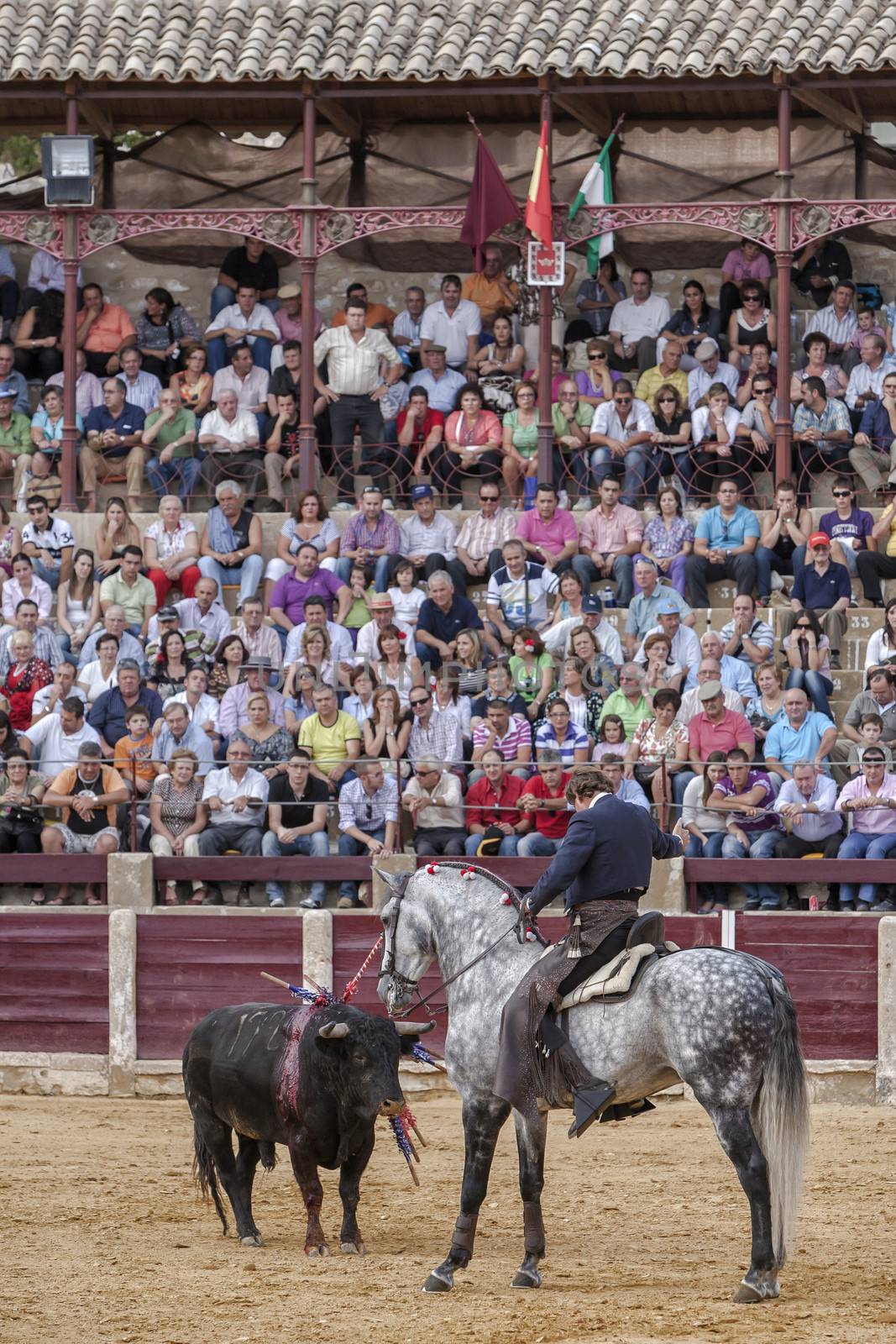 Ubeda, Jaen province, SPAIN - 2 october 2010: Spanish bullfighter Fermin Bohorquez bullfighting in front of the brave bull with its horse, the public is looking attentively at the toreador in Ubeda, Jaen province, Spain