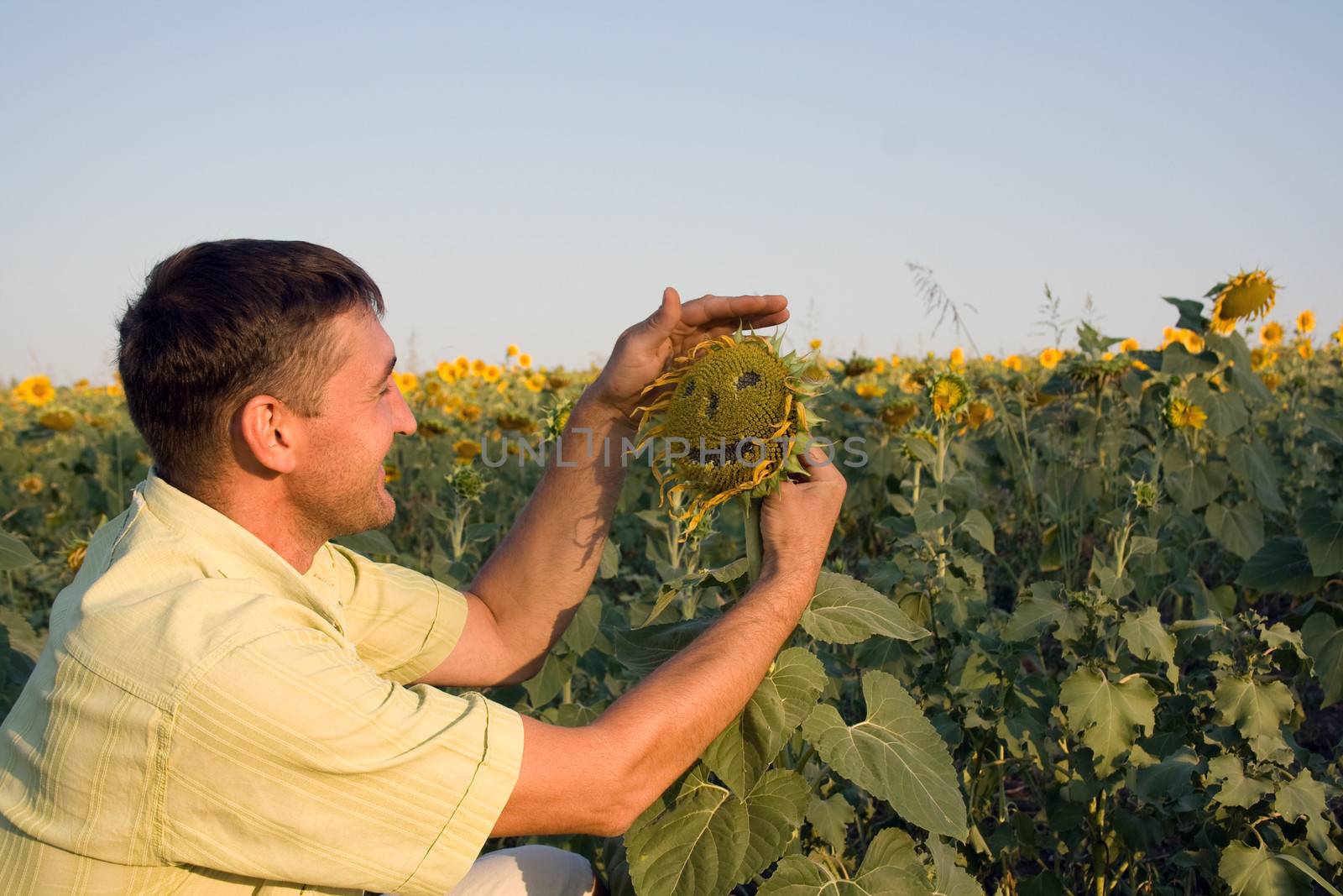 Man in the field with sunflowers smiling looking at sunflower