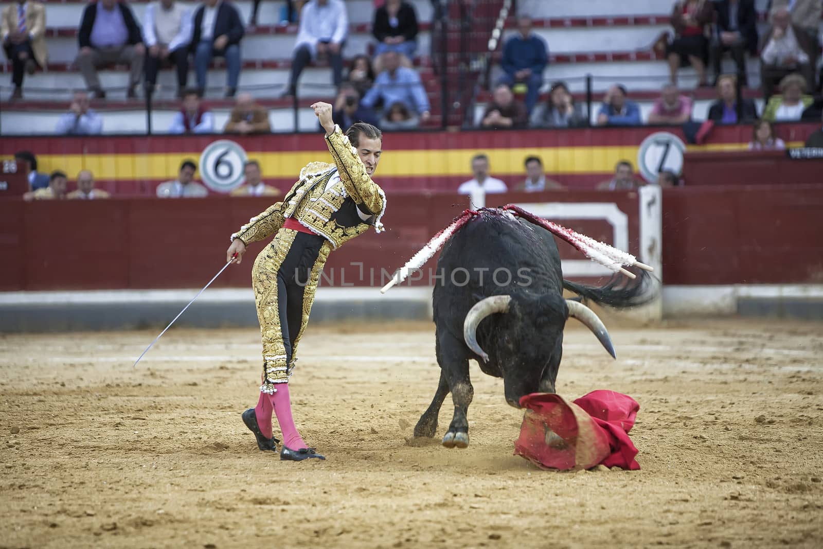  Jaen, SPAIN - 17 october 2008: Spanish bullfighter Cesar Jimenez, the bull takes the crutch from him to the soil and the toreador shows anger expression in Jaen bullring, Jaen province, Andalusia, Spain