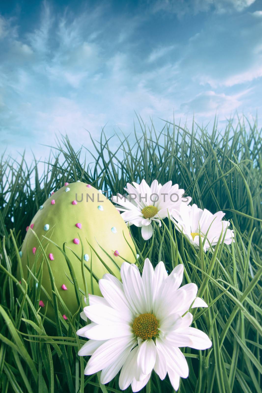 Easter egg on in grass with bright spring sky by Sandralise