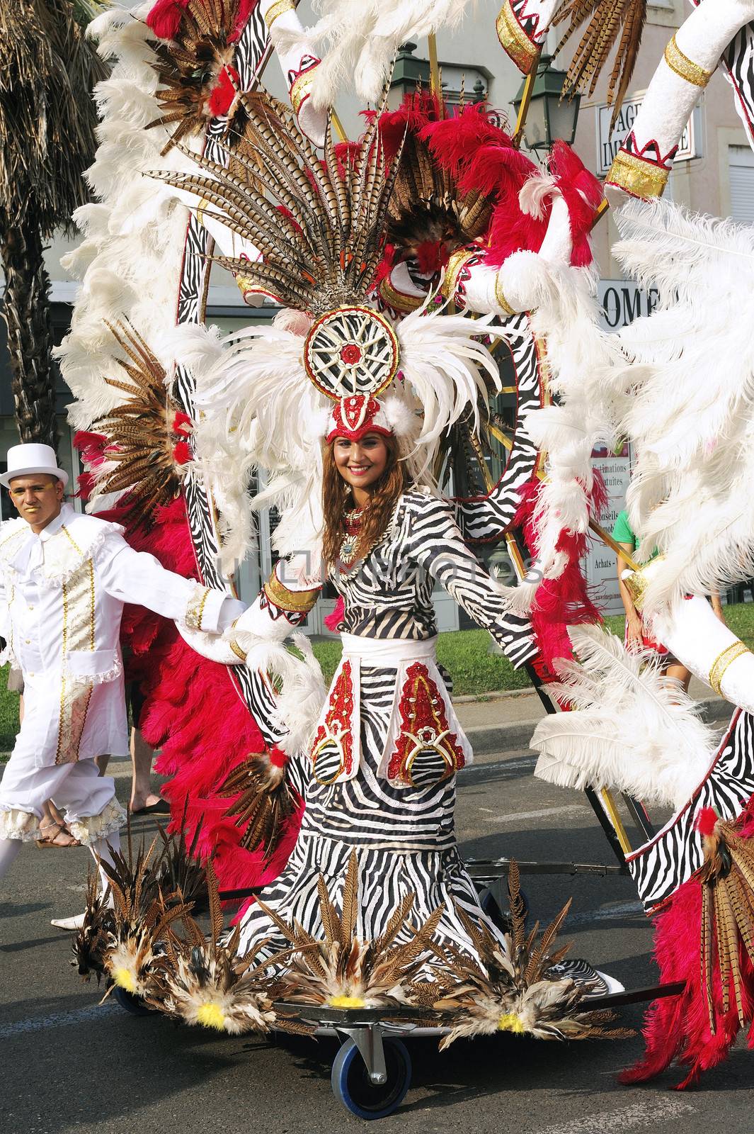 Carnival Ales on the occasion of the French National Day 14 July 2013, the parade