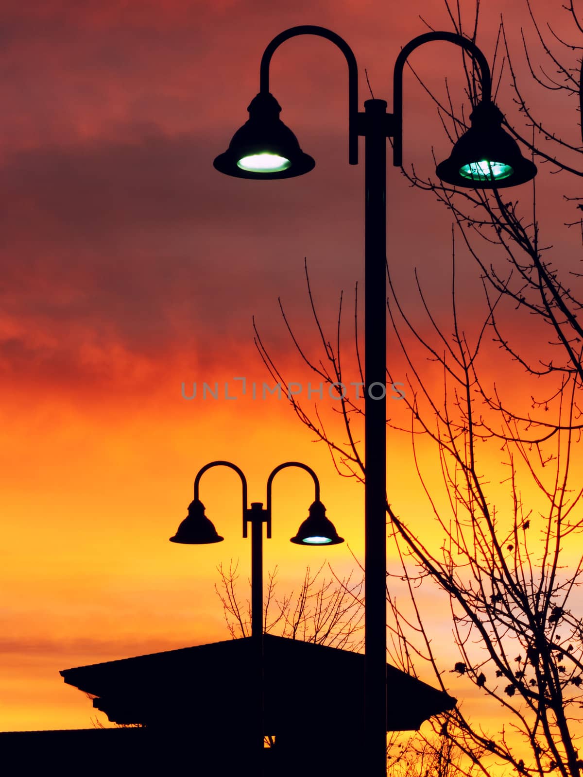 Lit Vertical Lightposts in Silhouette in Early Morning Sunrise