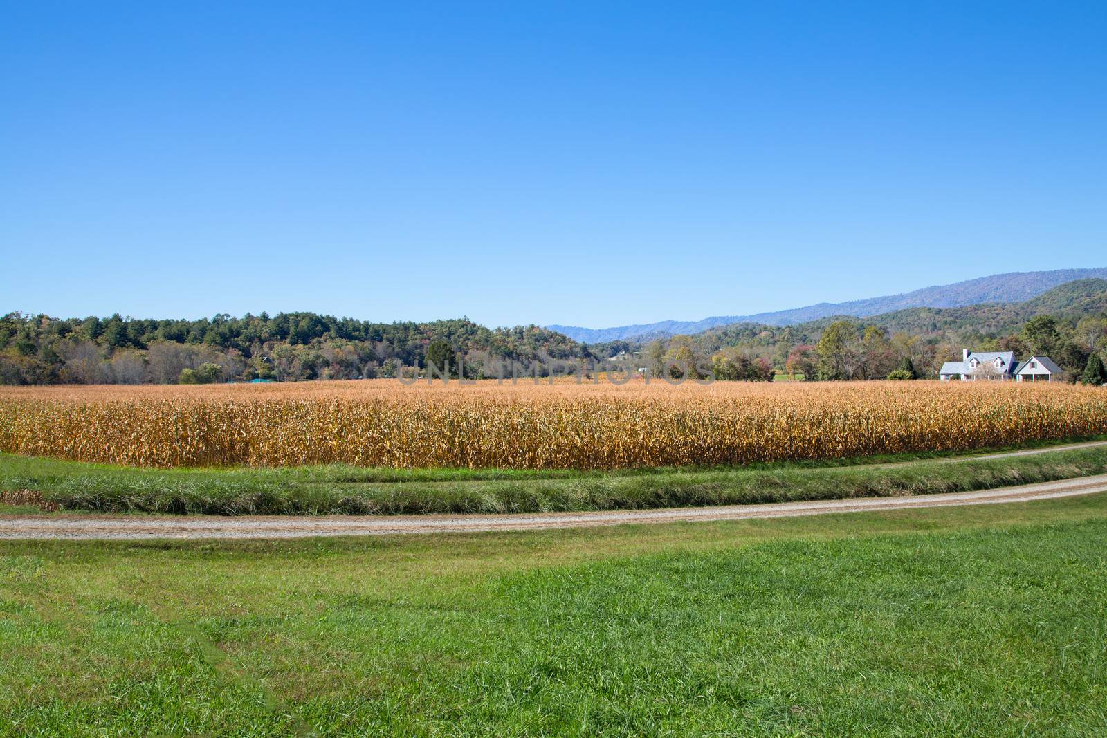 Beautiful farmland between the hills at Firescreek, North Carolina.