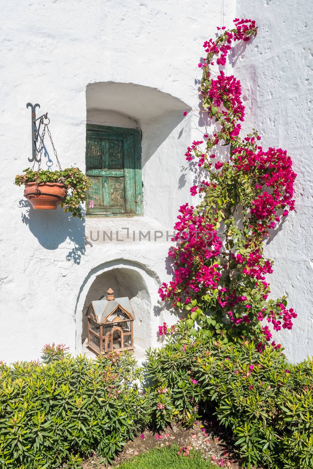closed window and open birdcage in Santa Catalina monastery in the peruvian Andes at Arequipa Peru