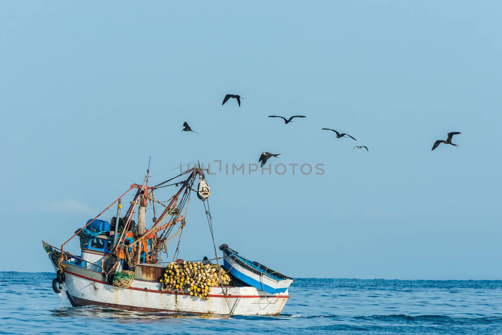 flock of birds and fishing boat in the peruvian coast at Piura Peru