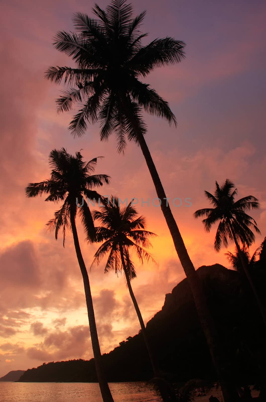 Tropical beach with palm trees at sunrise, Wua Talab island, Ang Thong National Marine Park, Thailand