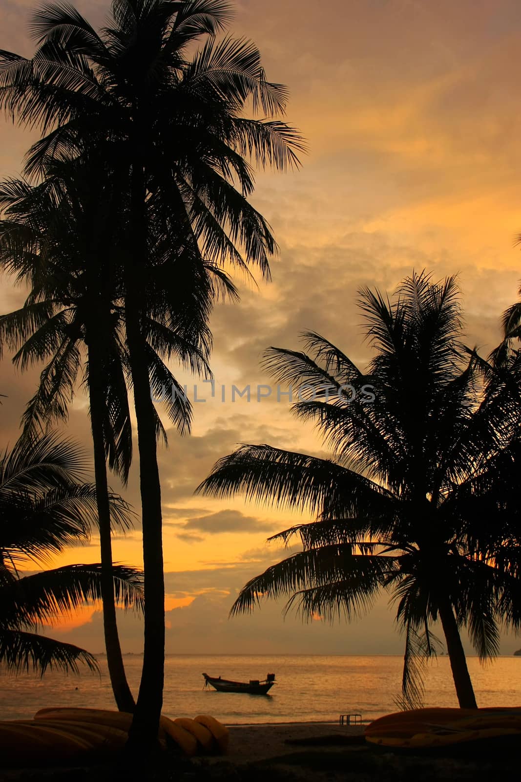 Tropical beach with palm trees at sunrise, Wua Talab island, Ang Thong National Marine Park, Thailand