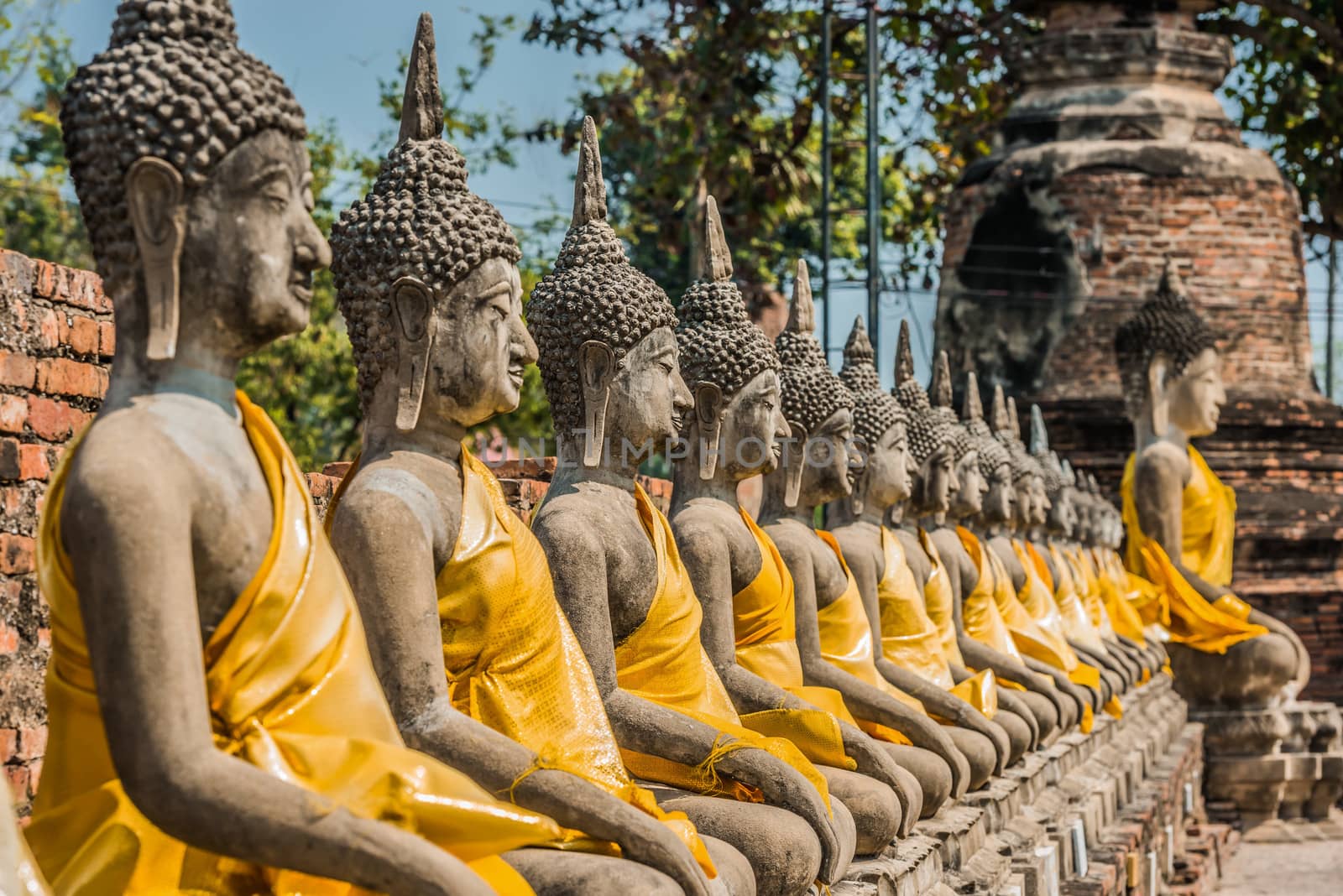 aligned buddha statues at Wat Yai Chaimongkol Ayutthaya bangkok thailand