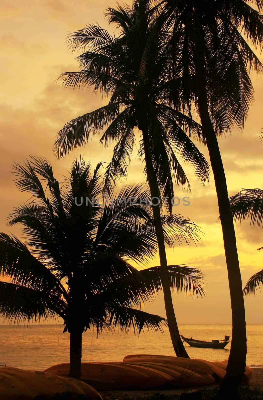 Tropical beach with palm trees at sunrise, Wua Talab island, Ang Thong National Marine Park, Thailand