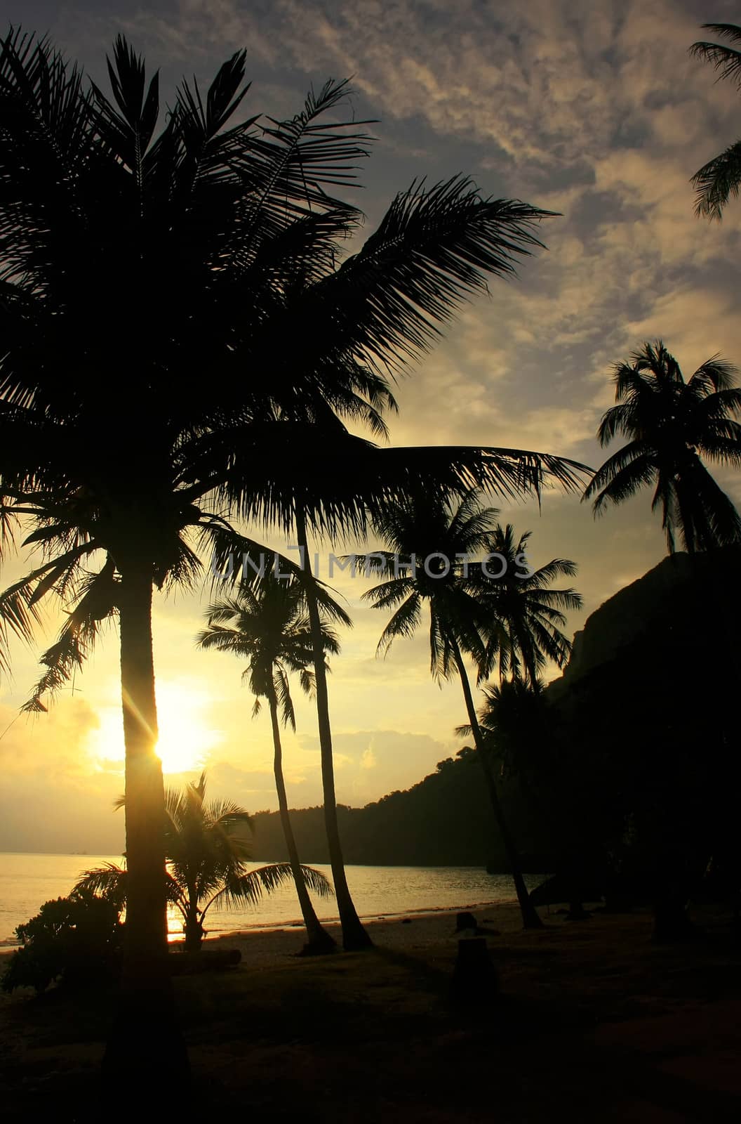 Tropical beach with palm trees at sunrise, Wua Talab island, Ang Thong National Marine Park, Thailand