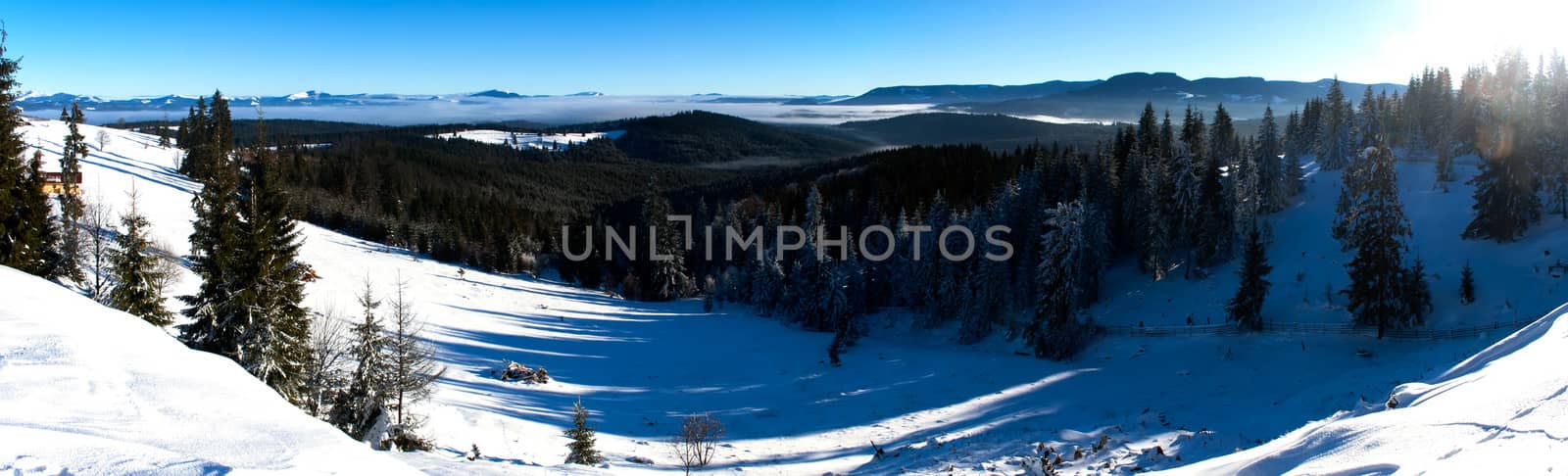 Winter landscape with forest and snow