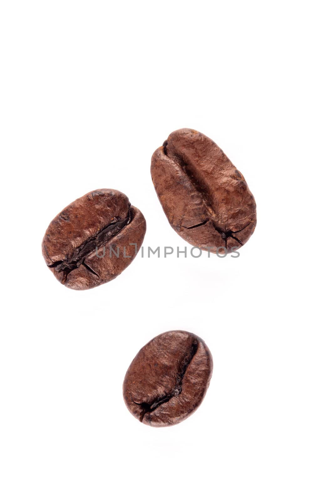 Three Coffee beans on wihte background, macro