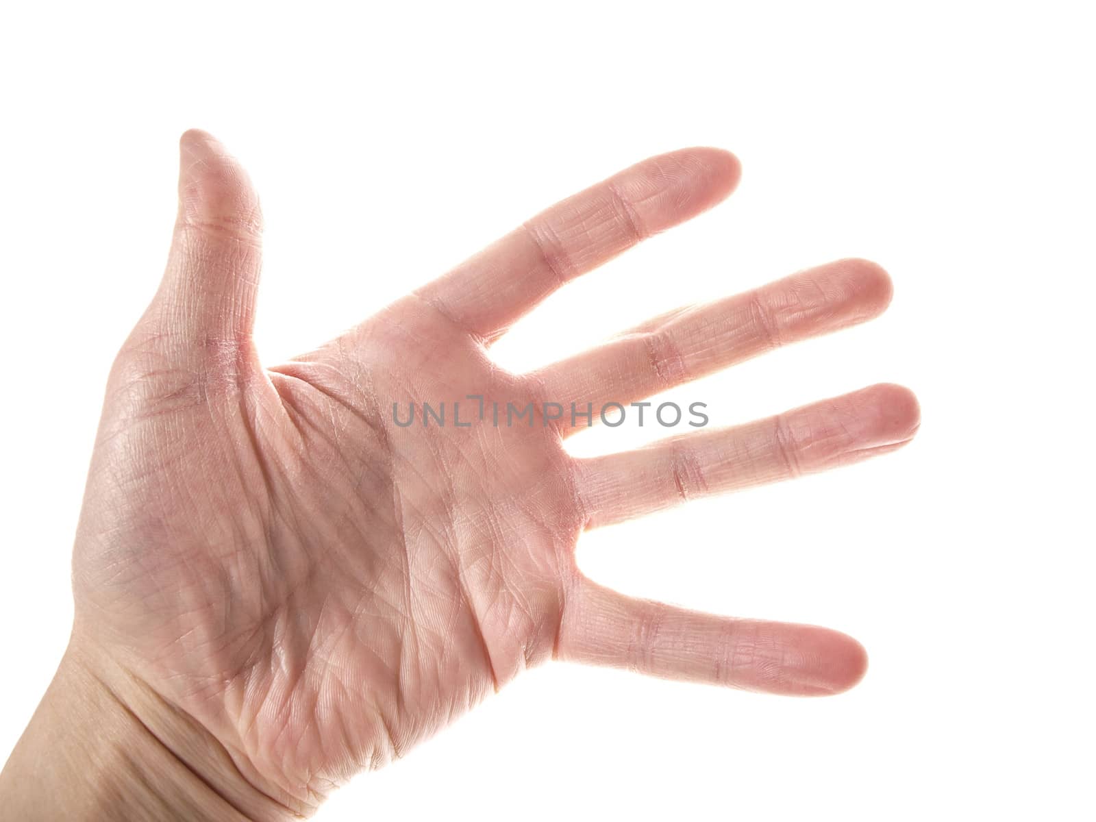 Open left hand, isolated towards white background