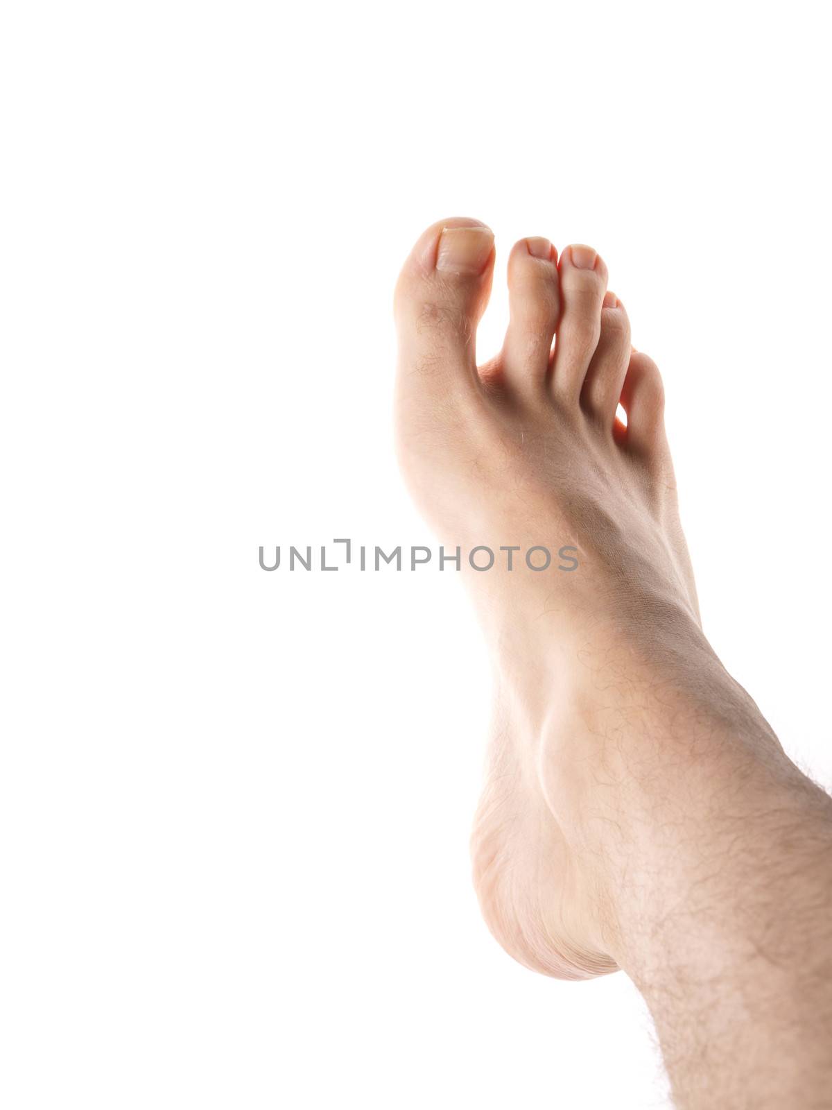 Right male foot isolated towards white background, with hair on leg