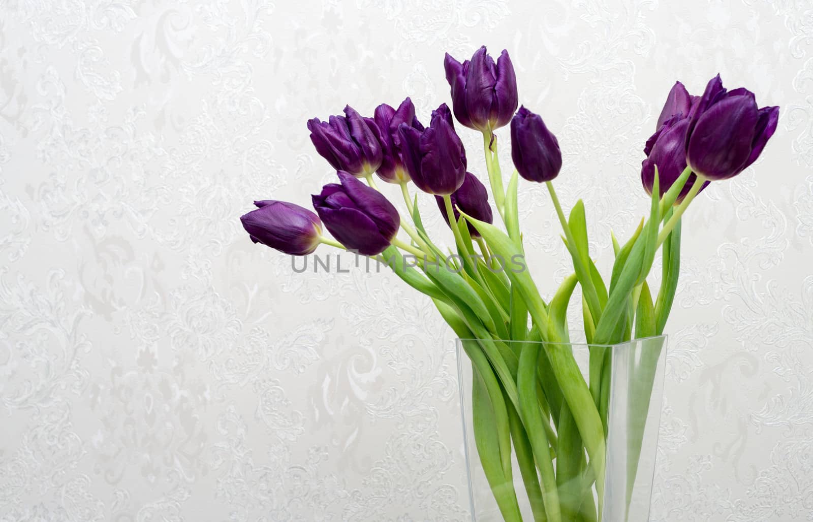 bouquet of purple tulips in a vase by DNKSTUDIO