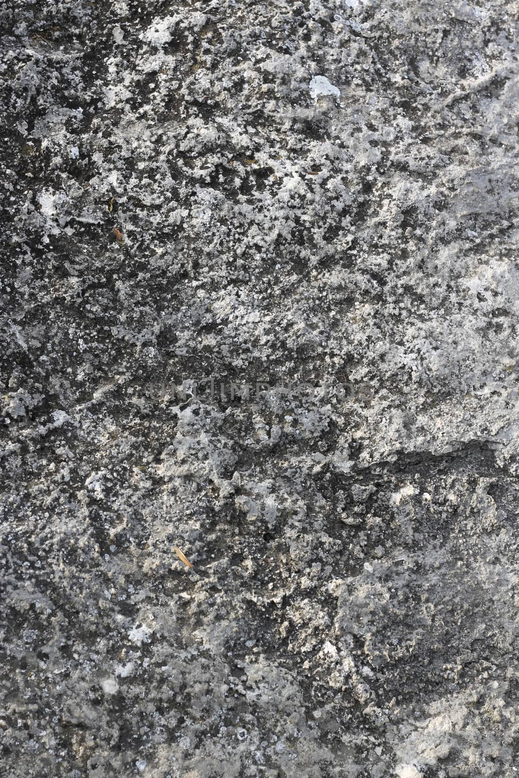 Natural background with a stone and the moss
