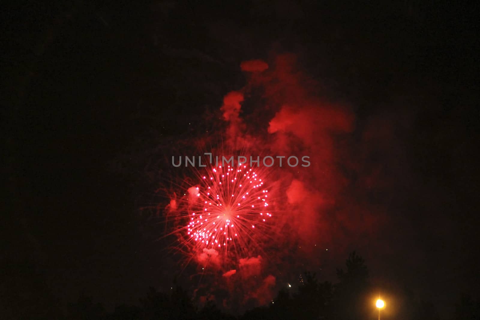 Colorful firework in the black night sky