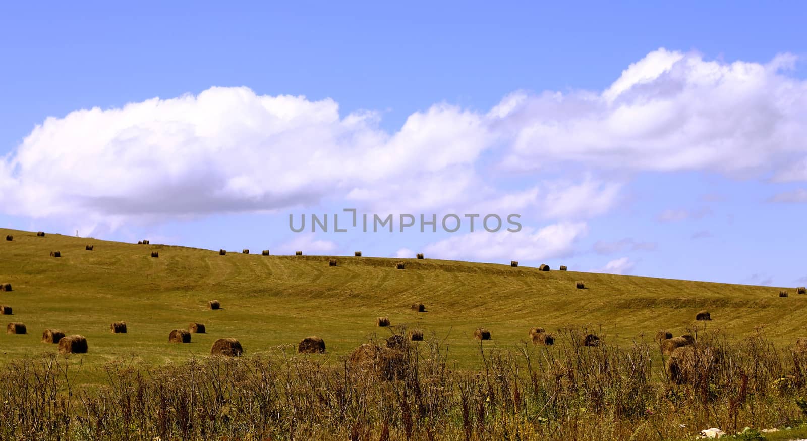 Straw roll bale on the field of farmland