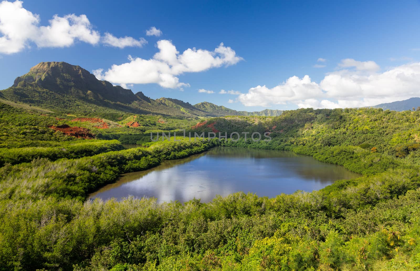 Traditional hawaiian fish pond known as Menehune or Alekoko near Lihue on Kauai in Hawaii
