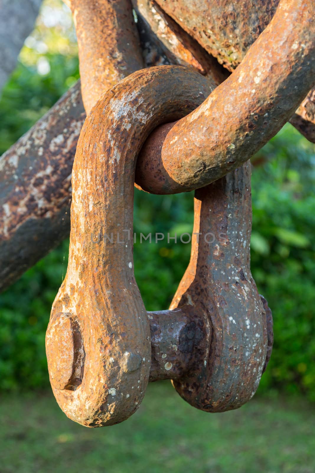 Detail of the rusty links of chain on large boat anchor used as a decoration in a tropical garden with palm trees