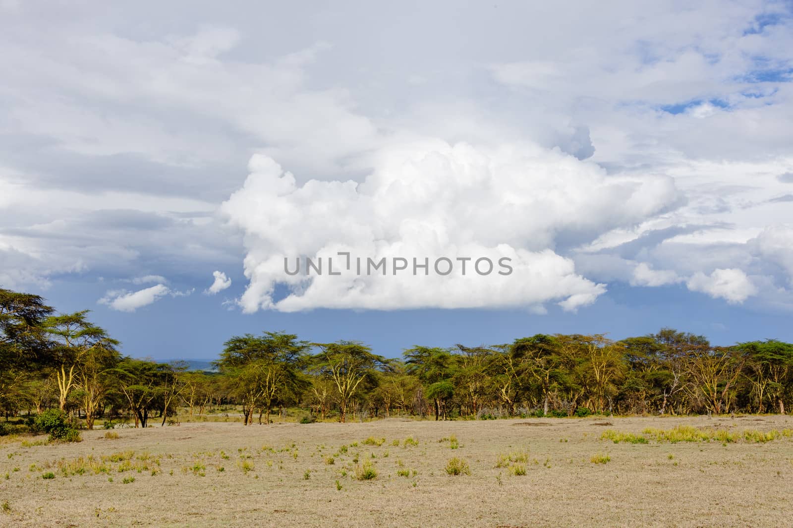 The Crater lake national park of Kenya under the sunset.