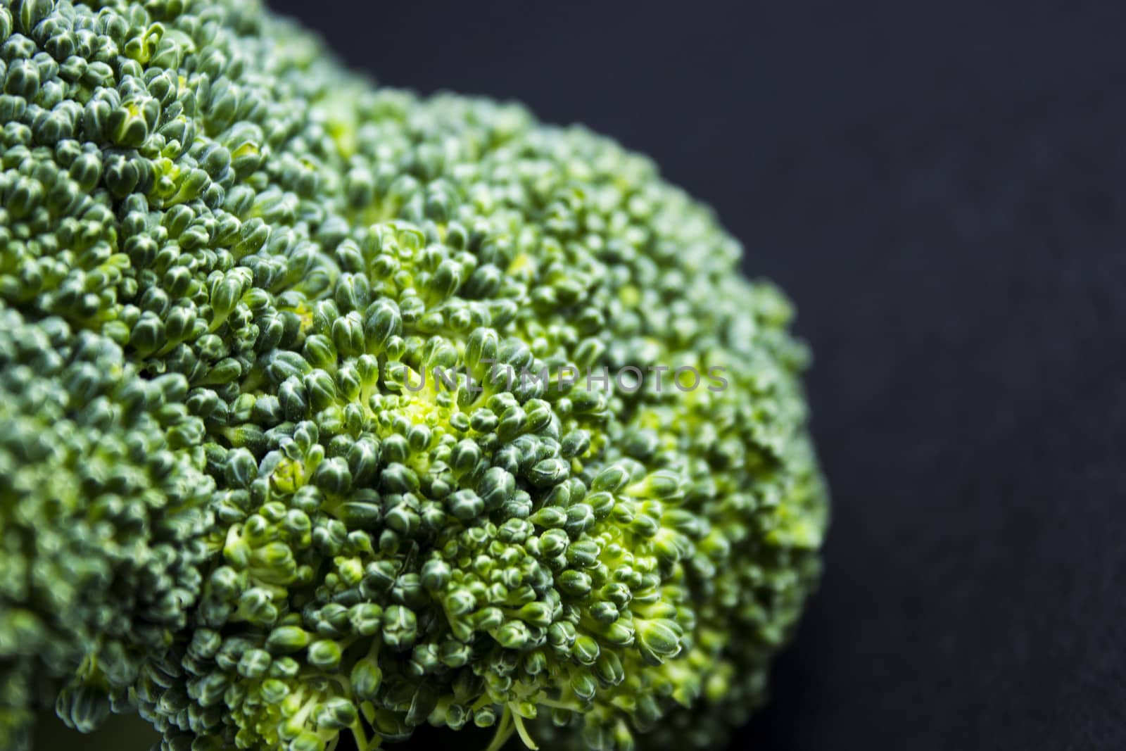 Fresh broccoli on black background.