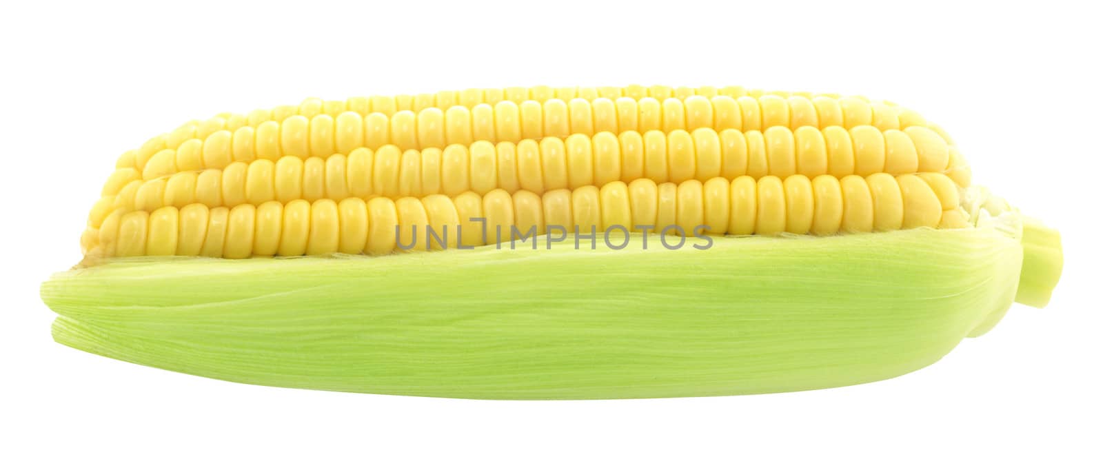 ear of corn isolated on a white background (with clipping work path)
