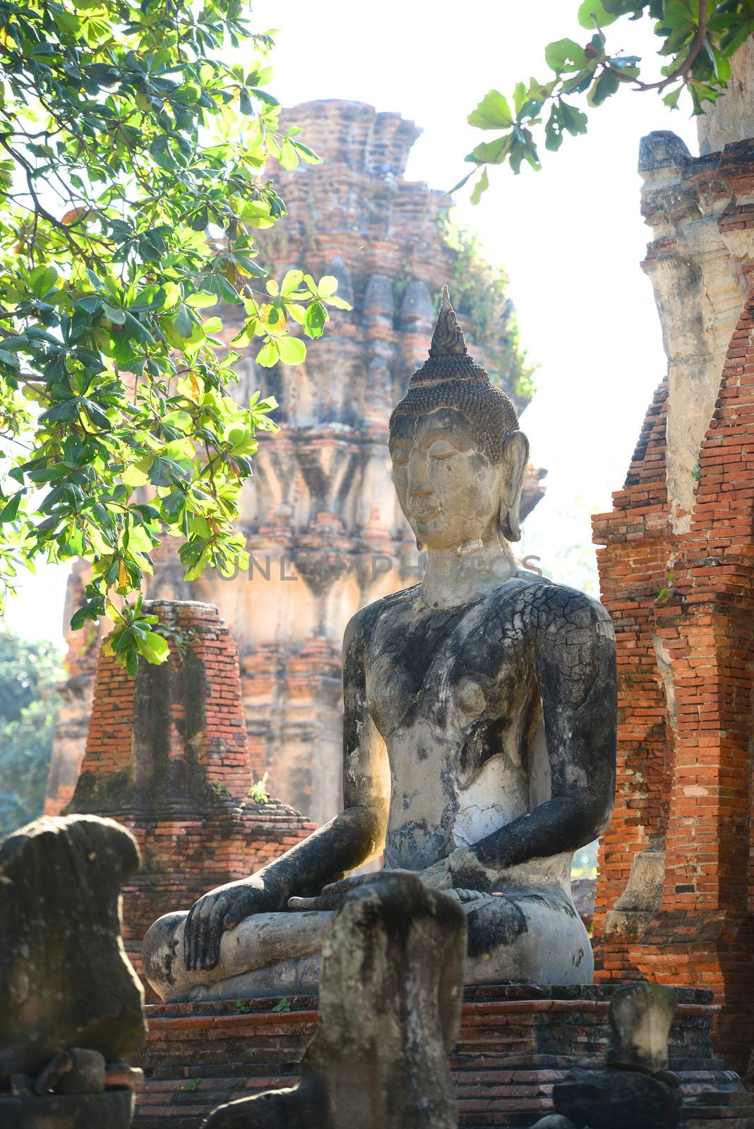 Buddha in Wat Mahathat Ayutthaya, Thailand