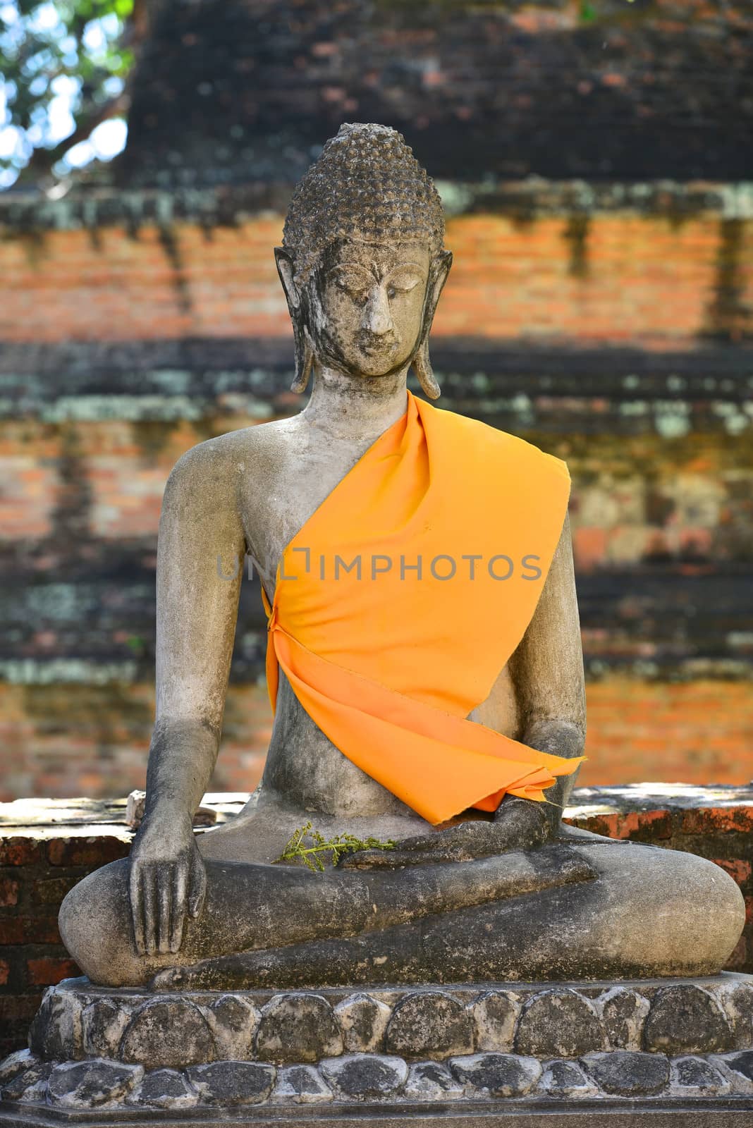 Buddha Status at Wat Yai Chaimongkol in Ayutthaya, Thailand