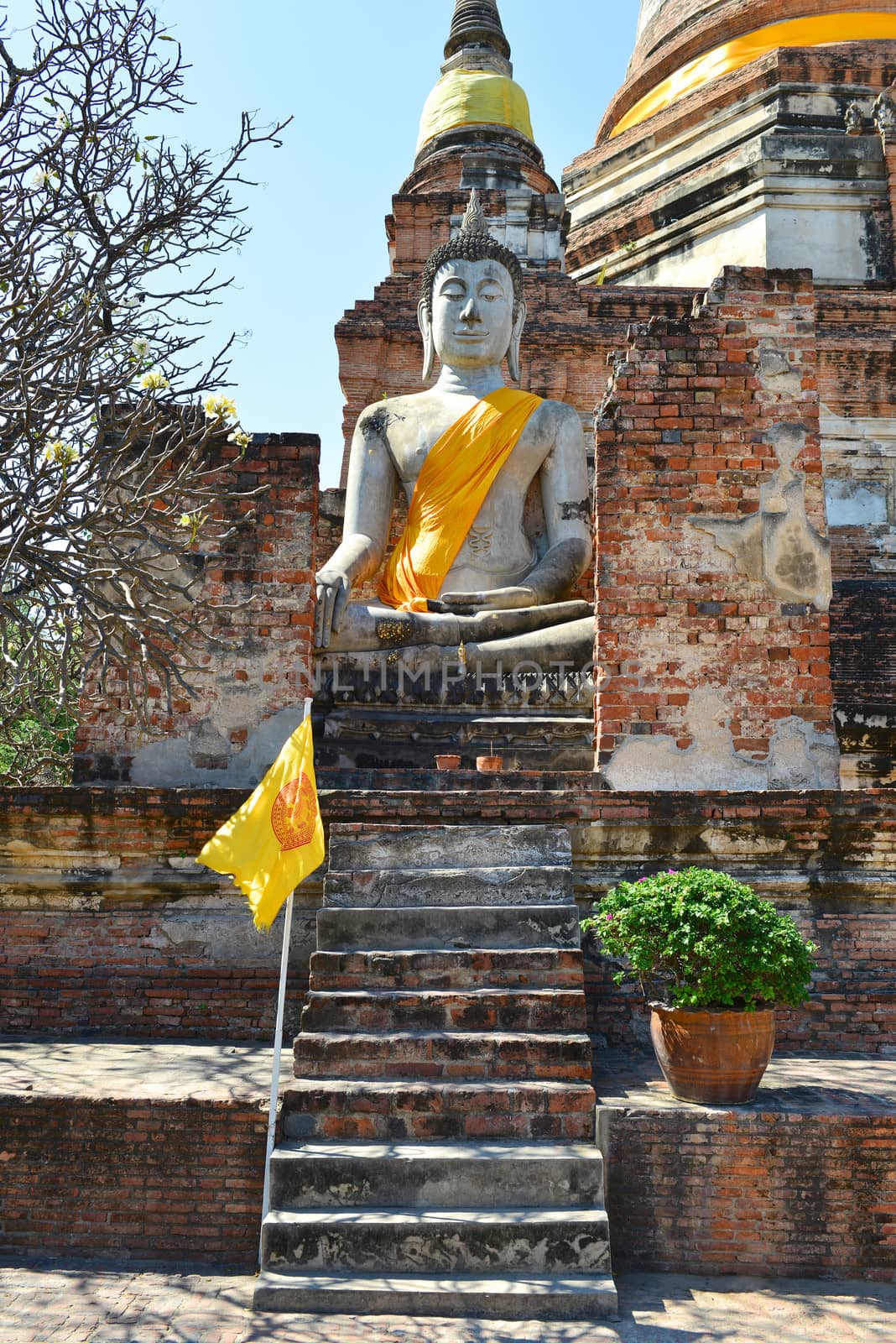Buddha Status at Wat Yai Chaimongkol by antpkr