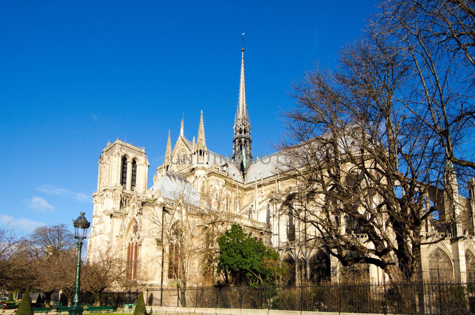 Church Notre Dame on the side the Seine.